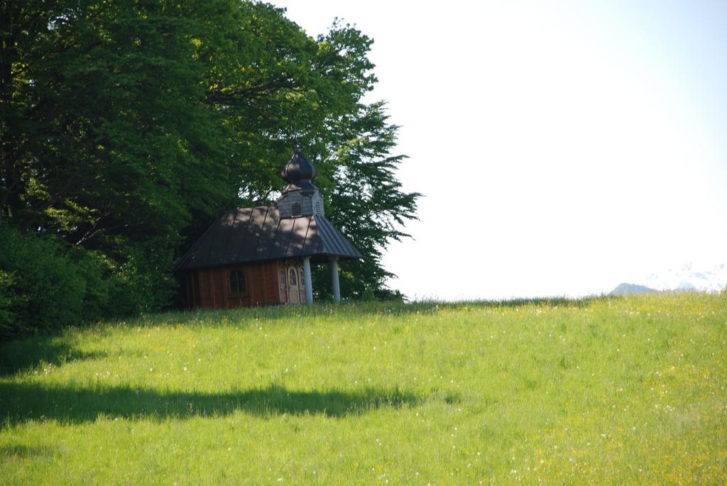 Landhaus Brieger Henndorf am Wallersee Extérieur photo